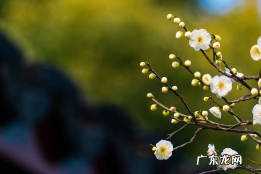 躲春过了两个小时就可以见人了吗
