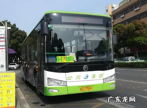 2020厦门公交春节时间安排 2022年厦门春节期间公交车正常运行吗