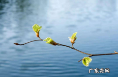打春前后不出门是哪三天 躲春过了12点就可以出门了吗