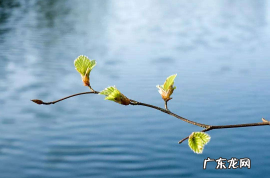 打春前后不出门是哪三天 躲春过了12点就可以出门了吗