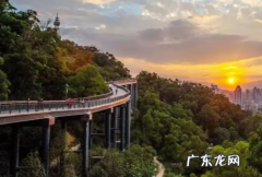 2021春节福建省内回家需要核酸检测吗 2022年春节去福州要核酸检测吗
