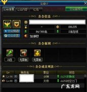DNF地下城与勇士勋章以及守护珠怎么获得