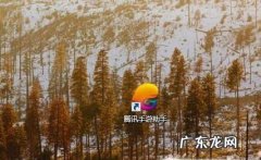 如何在电脑上玩自由幻想手游