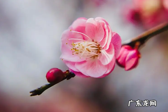 躲春可以健身做运动吗