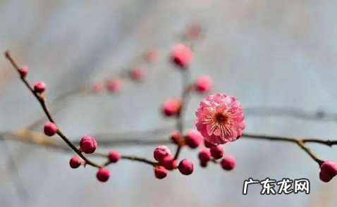 躲春可以上厕所吗