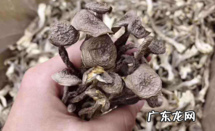好几年的干蘑菇还能吃吗 干蘑菇三年了还能吃吗