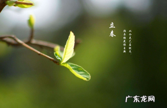 躲春白天可以见阳光吗