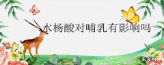 水杨酸对哺乳有影响吗