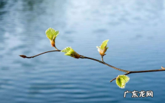 春节卫生什么时候才可以打扫 躲春可以打扫卫生吗