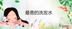 最香的洗发水