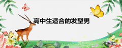 高中生适合的发型男