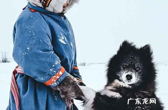 2023年六一儿童节怎样放假 2023六一儿童节放假通知范文