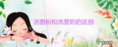 洁面粉和洗面奶的区别