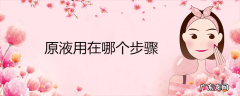 原液用在哪个步骤