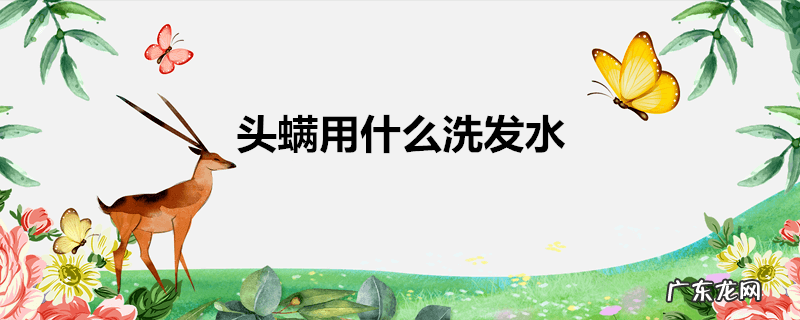 头螨用什么洗发水