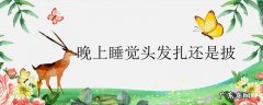 晚上睡觉头发扎还是披