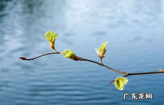 为什么要躲春 躲春亲人要避开吗