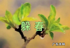 躲春一家人可以在一个房里吗
