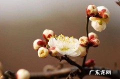 2022躲春朝哪个方向坐着