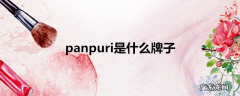 panpuri是什么牌子