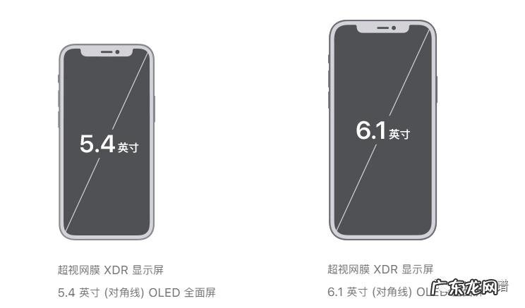 13苹果尺寸