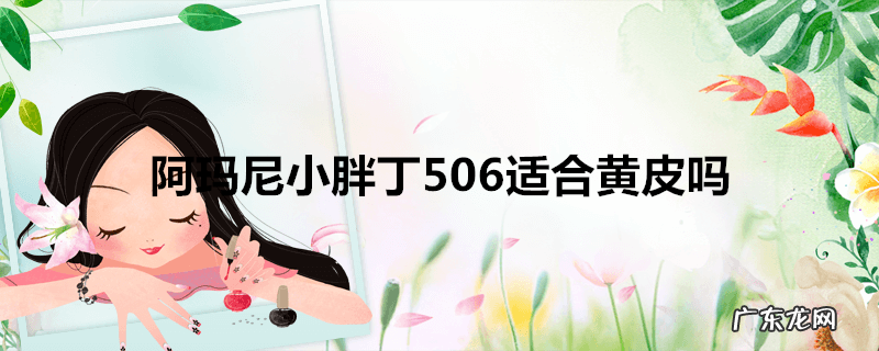 阿玛尼小胖丁506适合黄皮吗