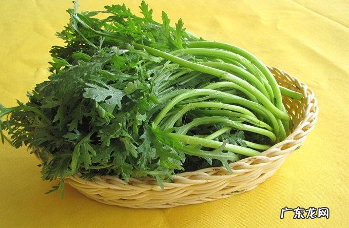 篙菜是什么菜
