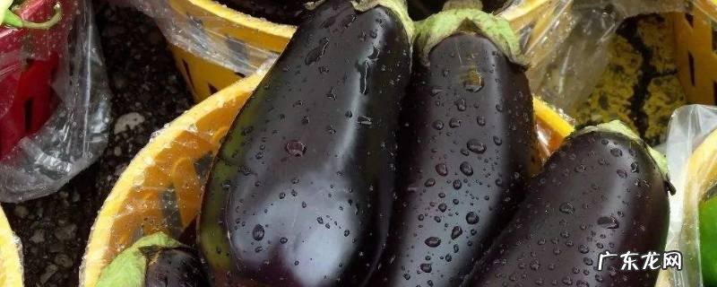 茄子怎么炒吃,茄子怎么炒