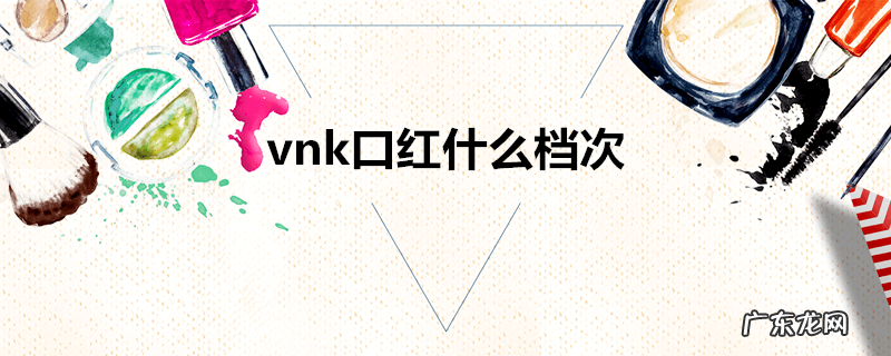 vnk口红什么档次