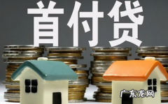 首付款不能向别人借的吗 别人贷款借我交首付可以吗