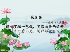 采莲曲的芙蓉是指