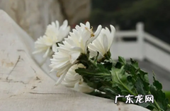 正月初二风俗 农历二月初二能不能祭祀