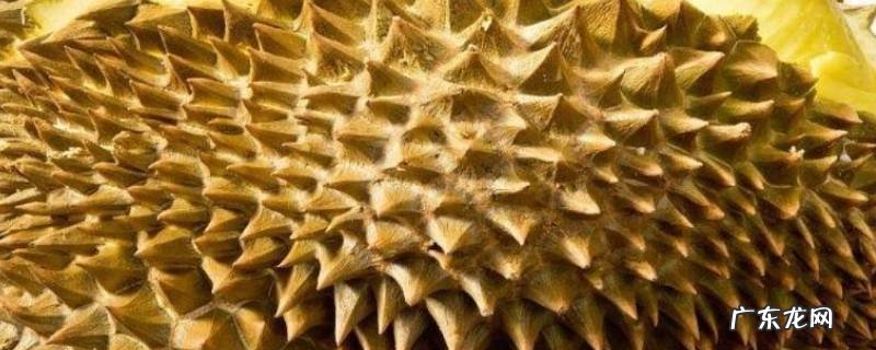 榴莲软烂是坏了的吗,榴莲 软烂