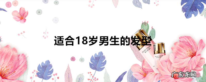 适合18岁男生的发型