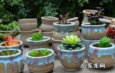花盆底部没有孔能养花吗 花盆没有孔怎么看出浇透没