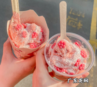 麦当劳新品豆乳麦旋风 麦当劳红豆双皮奶风味麦旋风好吃吗