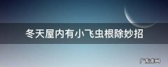 冬天屋内有小飞虫根除妙招,冬天室内小飞虫如何消除
