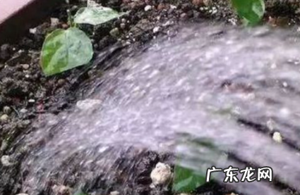多菌灵可不可以直接撒在土壤上 多菌灵可以拌在土里使用吗