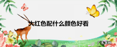大红色配什么颜色好看