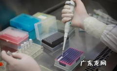 春节回北京需要做核酸检测吗 2022年国庆去北京要做核酸检测吗