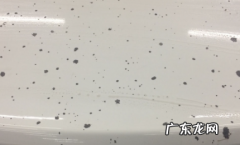 汽车上面的水泥浆怎么清洗 汽车上水泥浆干了怎么清除