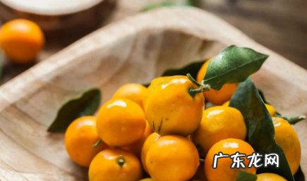 小金桔是带皮吃还是剥皮吃 金桔带皮吃还是去皮吃