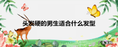 头发硬的男生适合什么发型