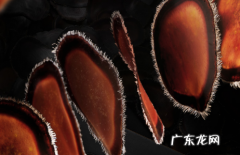 吃了鹿血片对身体危害大吗 为什么吃了鹿血片浑身会酸疼