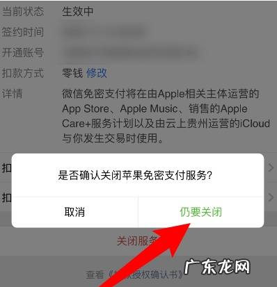 apple微信免密支付已停用怎么开