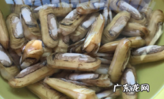 蛏怎么吐沙子 蛏子要吐沙子吗