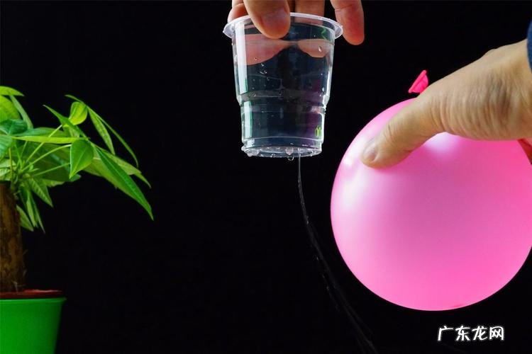 放在水中的气球的运动方向可能是什么