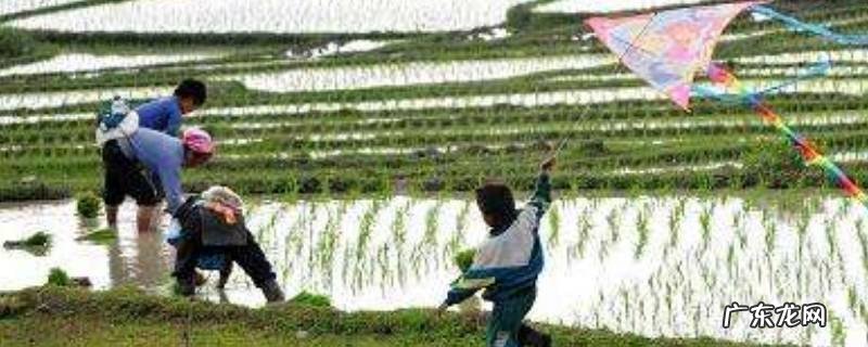 农忙是几月份,贵州农忙是几月份