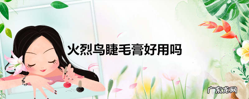 火烈鸟睫毛膏好用吗