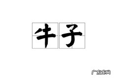 大牛子是什么,大牛子是什么吃